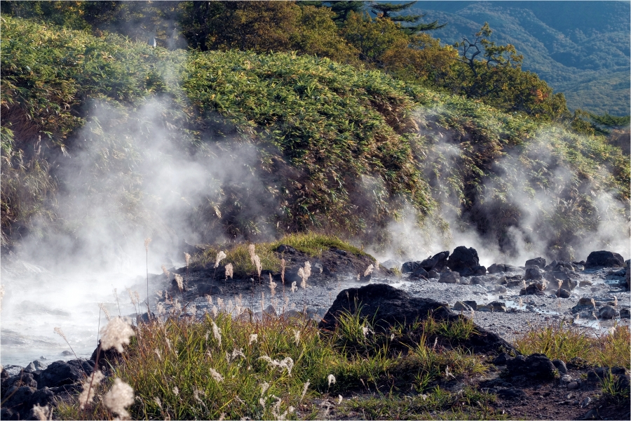 ������� ���� 3