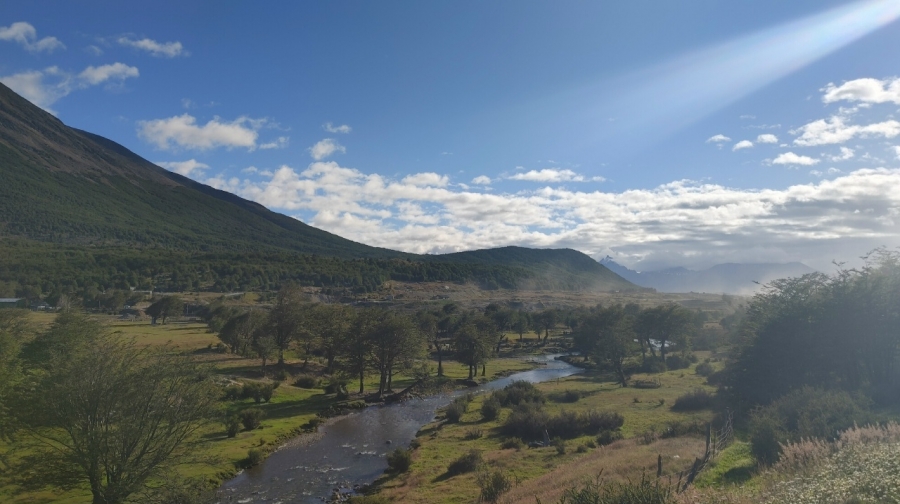 �� ���� ��� ����