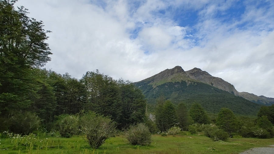 �������� � ������������ �����. ���� 2