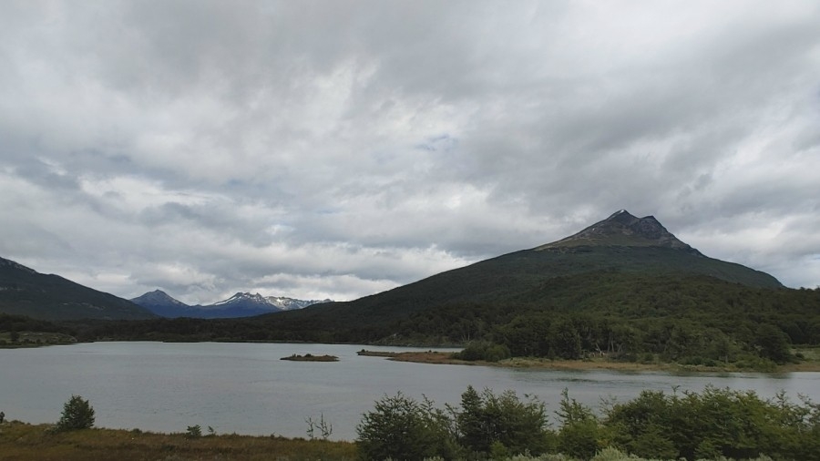 � ������� ������