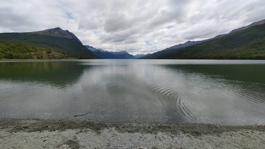 ����� ����