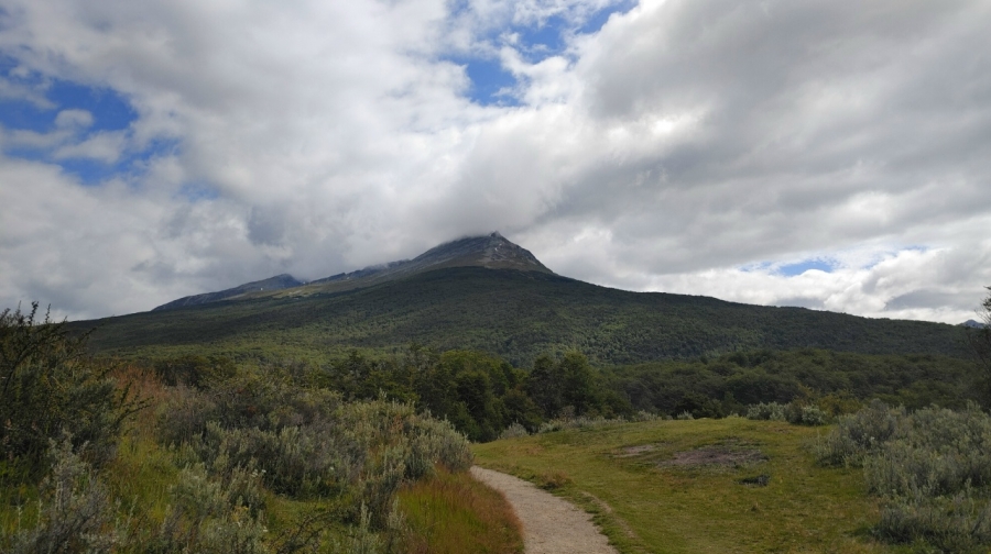 ������ �����