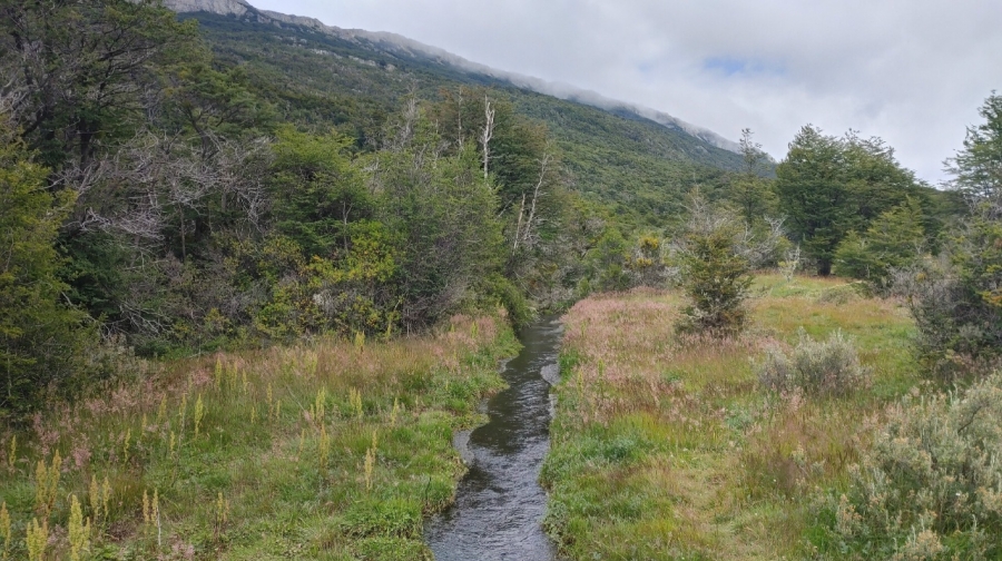 ������ �����