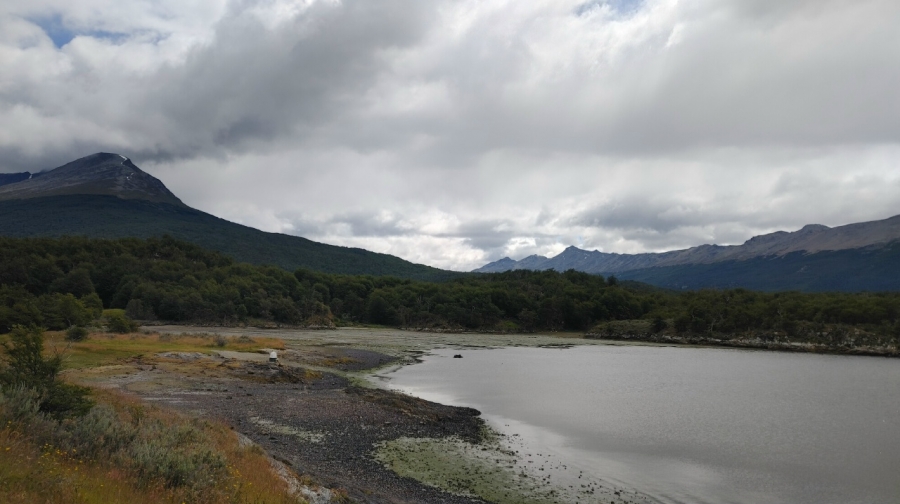 ����� �������� ����