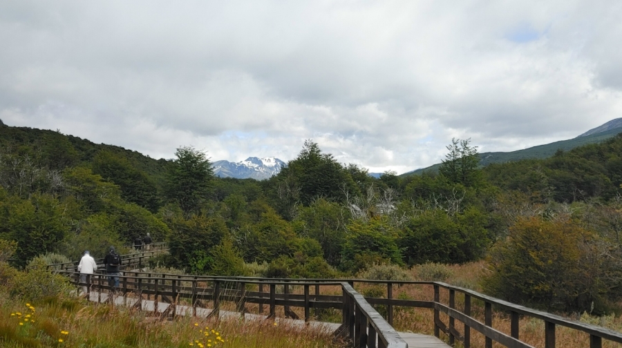 ������ ����� ������ ��������