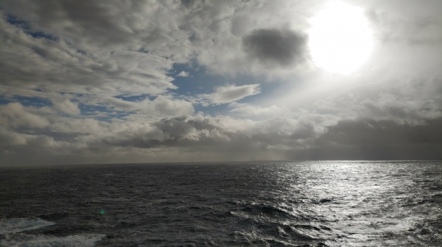 � ����� ������