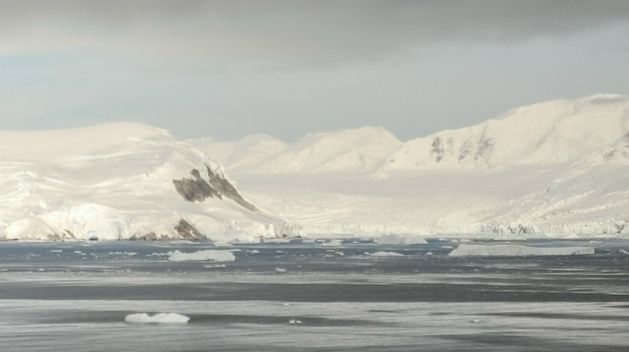 � ������ ������ ��������