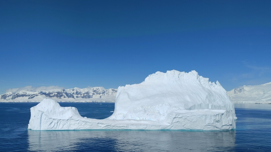 ������� � ������ ��������