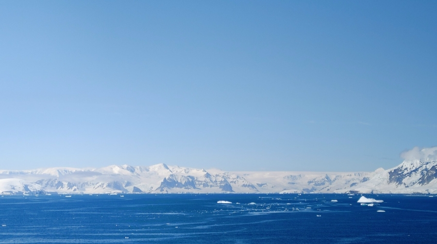 ����������. ���� 8