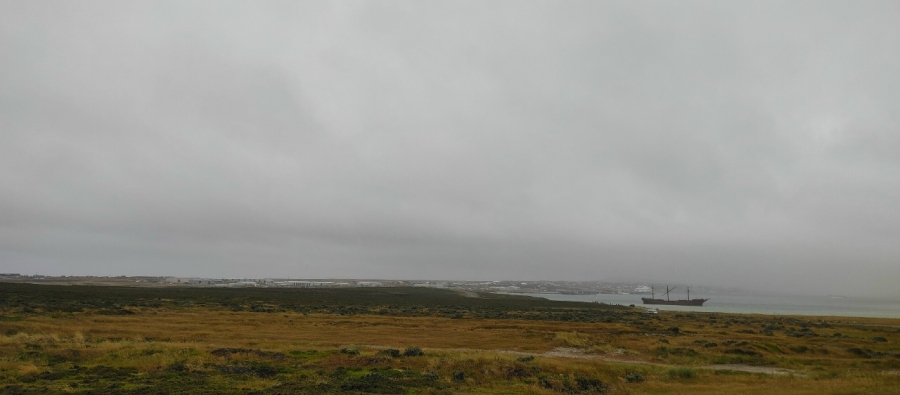 � ���� ���������