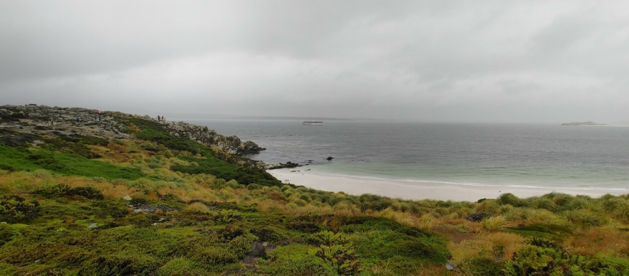 ��� �� ������������� ����� � ������������ ��������