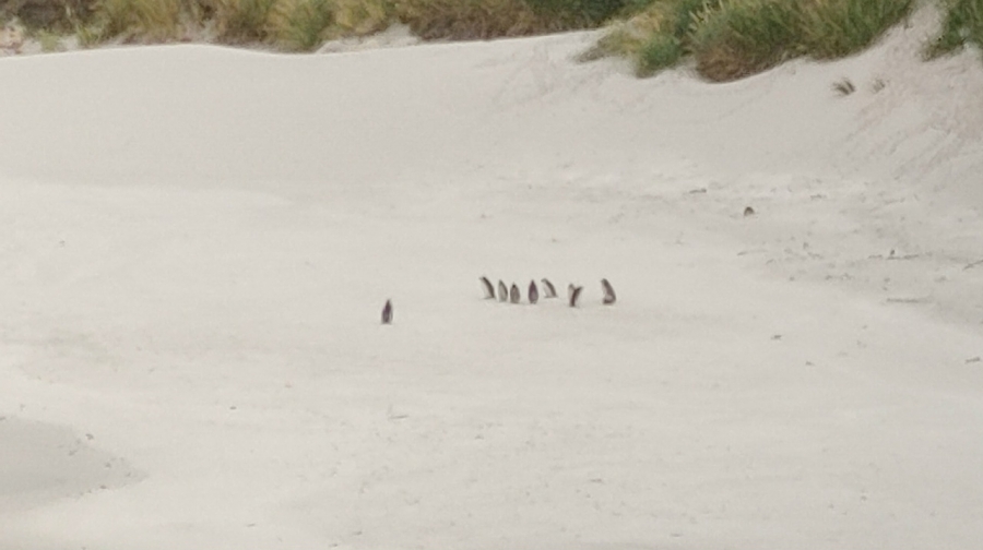 �������� �� �����