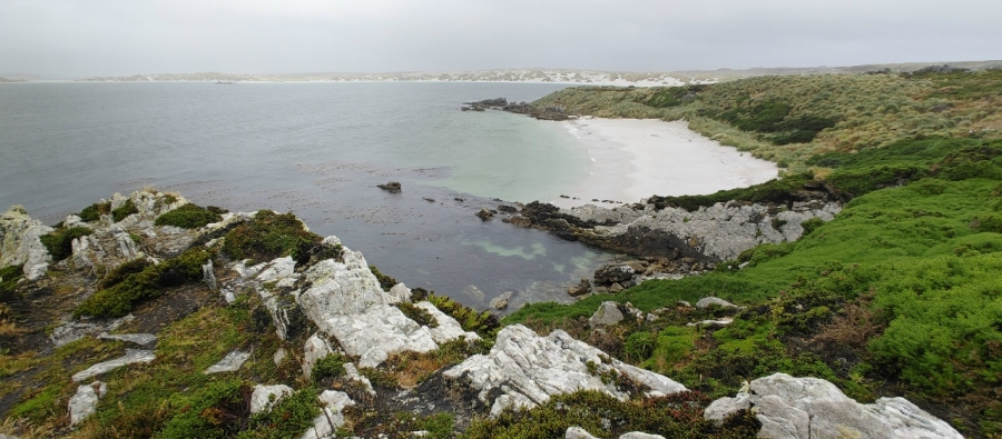 ������������ �������