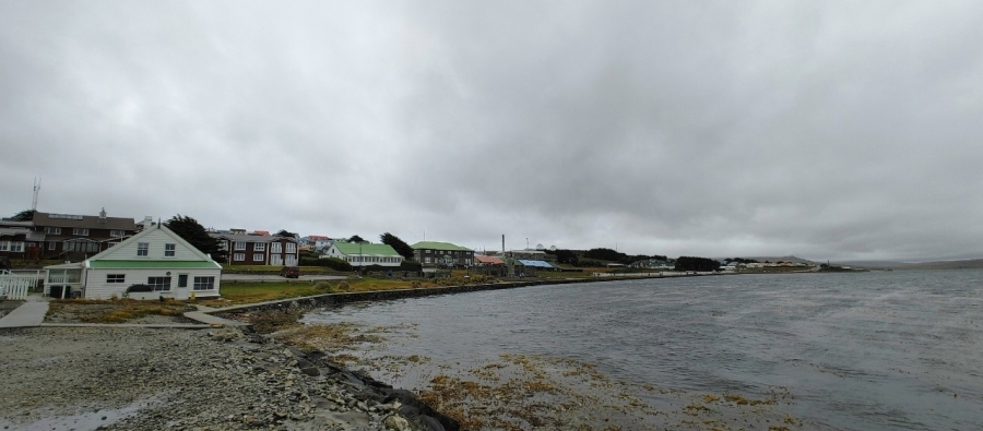 ����-������