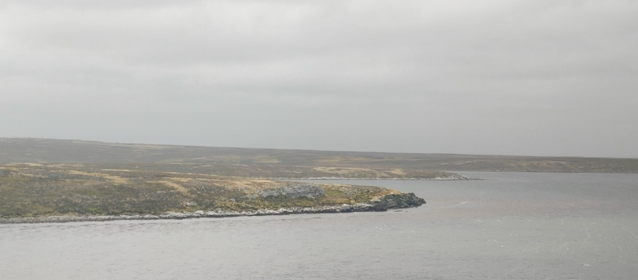 ������������ ������� ����� ���������