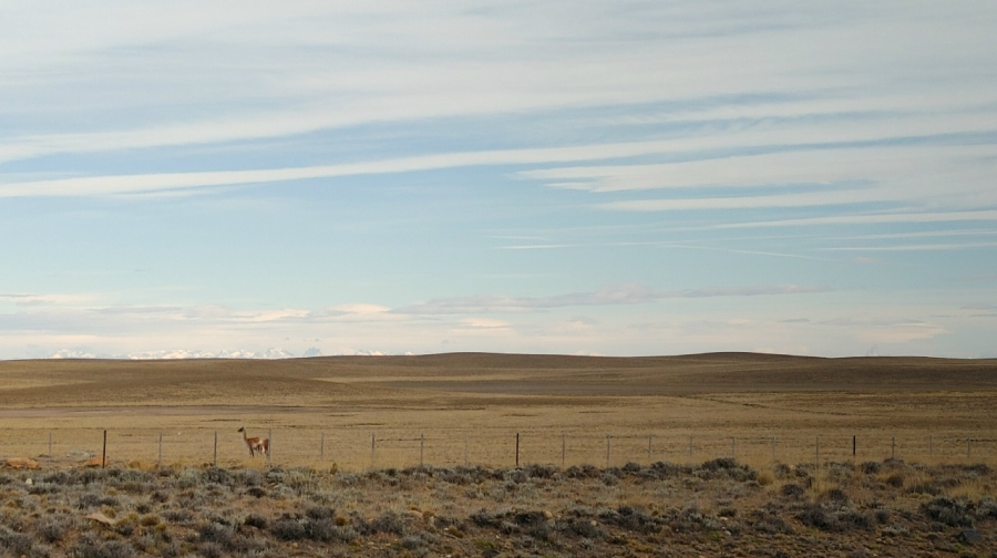 �������� ����