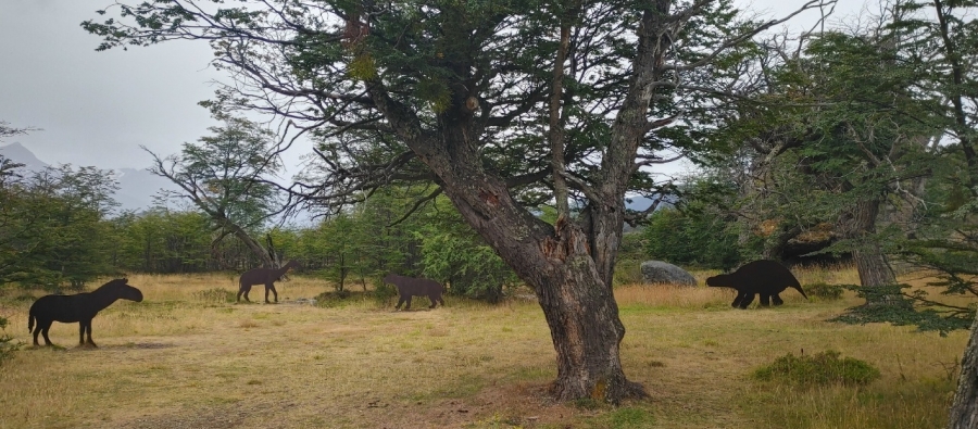 �� ����� � ������