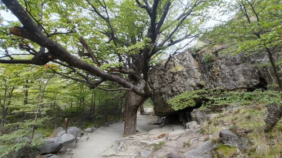 ����� � ��������