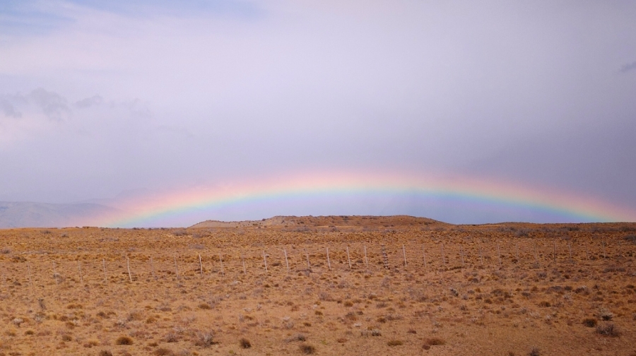 ������ � ���������