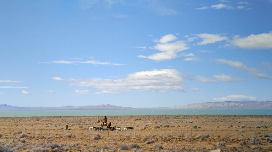 �������� � 10 ��������