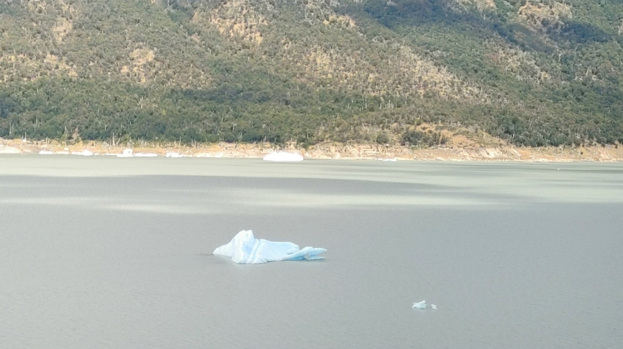 �������� � ����� ���������