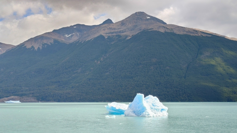 �� ����� ���������