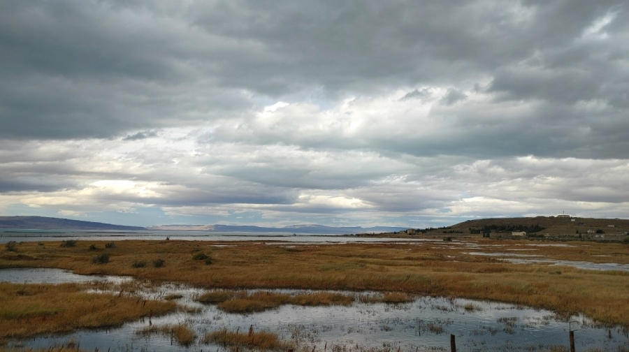 ������ � ���-��������