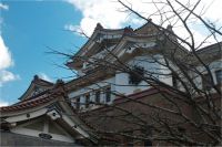 ������������� ����� ����-����������