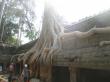 Ta Prohm, 3