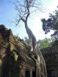 Ta Prohm, 6