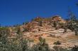     .   (Zion National Park),  4