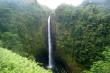   (Akaka Falls)